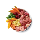 DTDP-2.webp