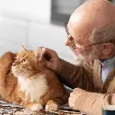 Pro nutrition Prestige Cat Adult Large Breed With Chicken 2Kg.webp