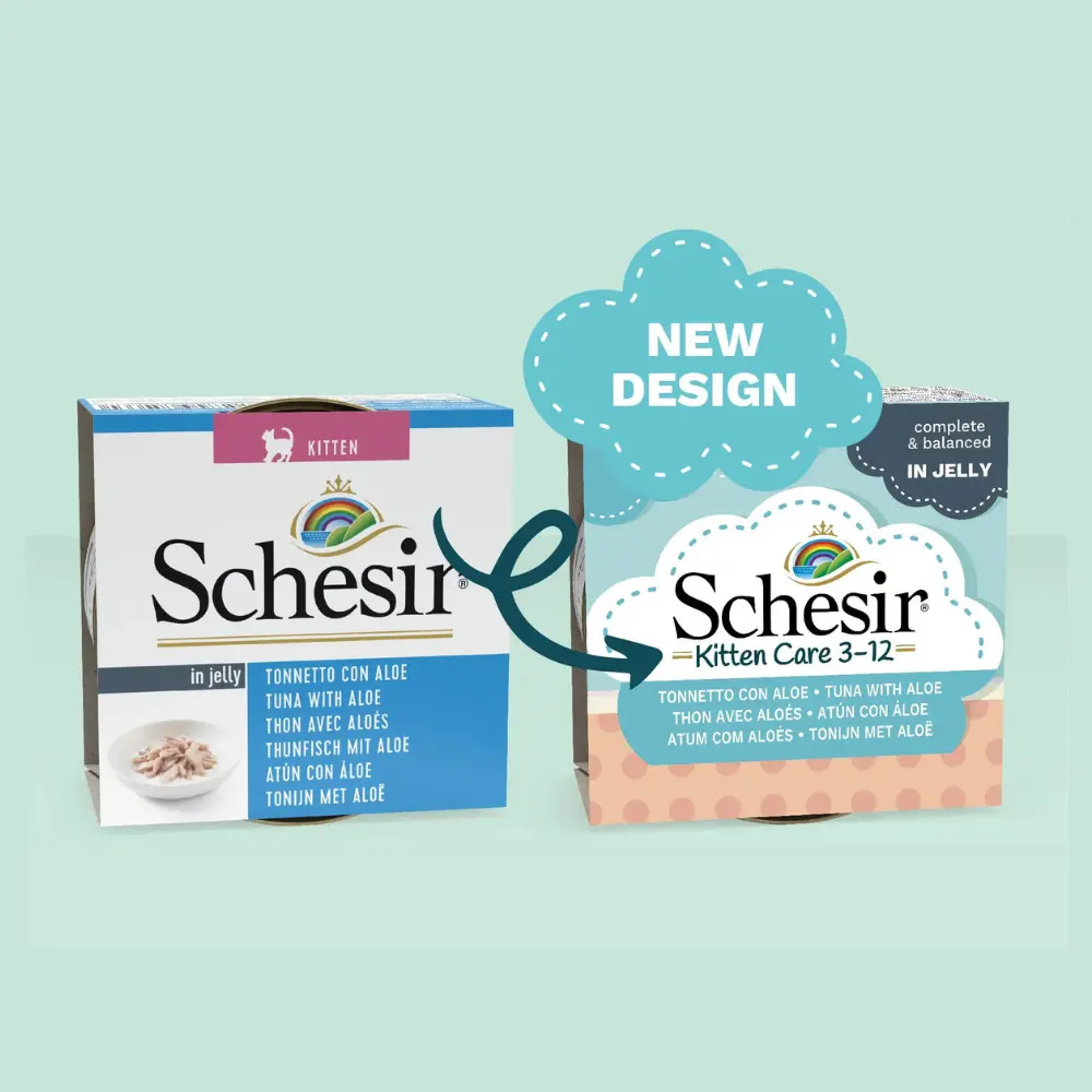Schesir Kitten Care- Can In Jelly 3-12 Tuna with Aloe Wet Food 85g (Min Order - 14pcs).webp
