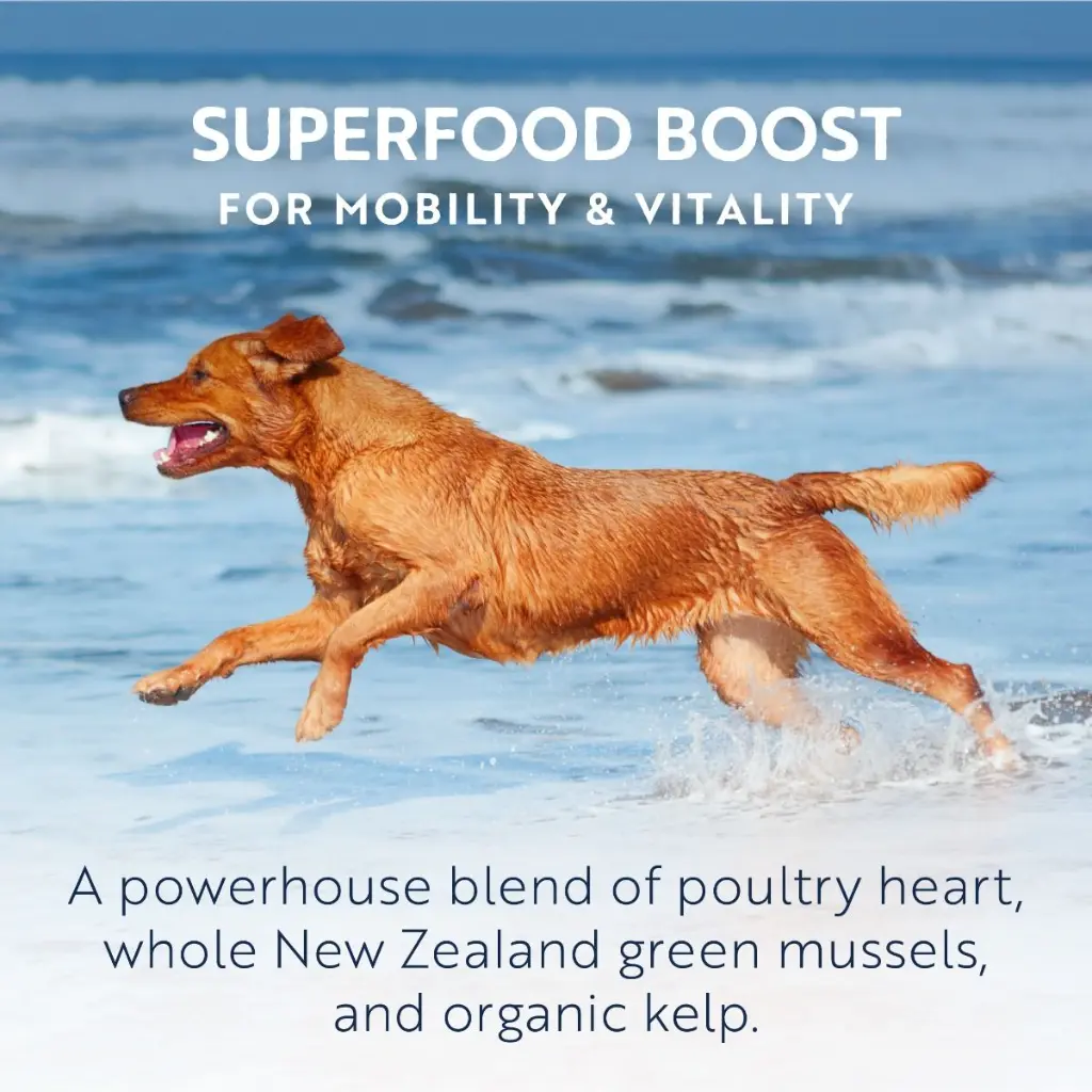 5-ziwi-peak-air-dried_chicken_dog_superfoods_7[1].webp