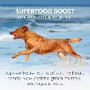 5-ziwi-peak-air-dried_chicken_dog_superfoods_7[1].webp