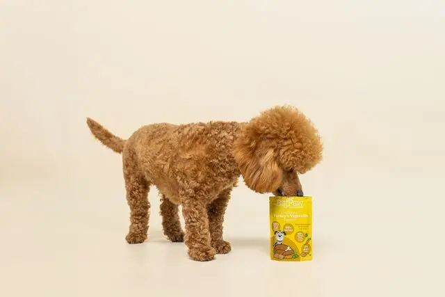 smalljpg-biglittlepaw-62[1].webp