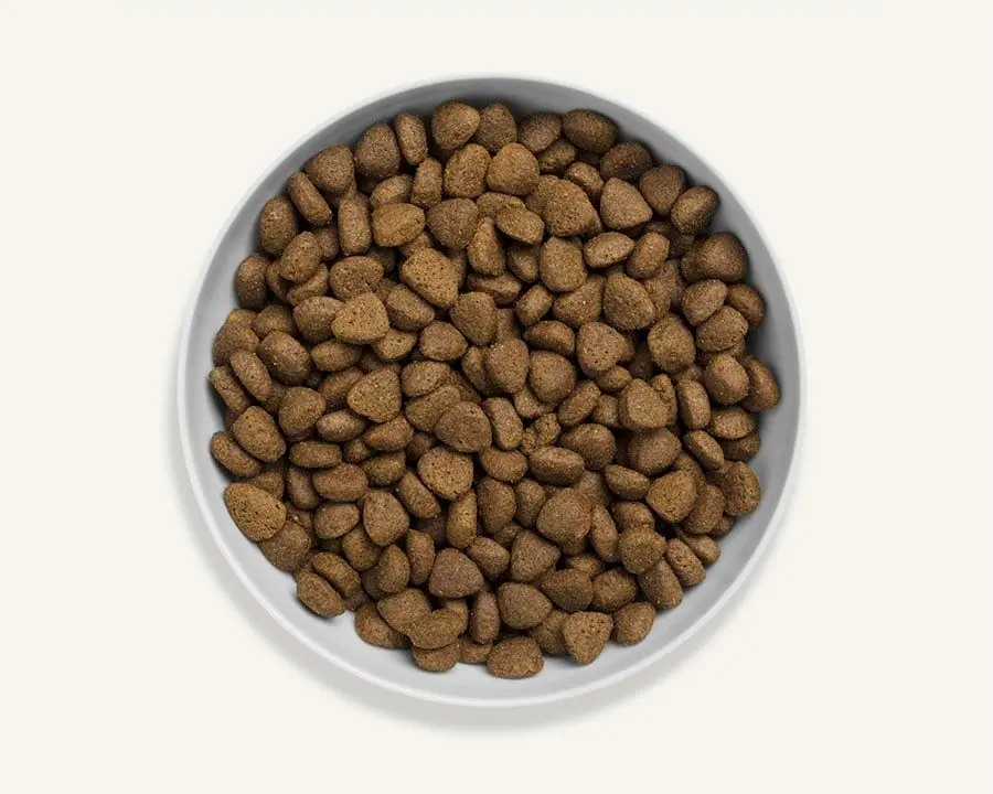 free-run-chicken-for-dogs-all-life-stages-1-min[1].webp