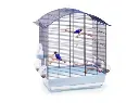 imac-jaula-pajaros-agata-dorada-63cee95d395c2_g[1].webp