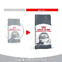 download (32).webp