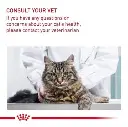 612iXDPFpfL._AC_SL1500_.webp