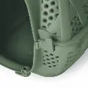 carry-sport[1].webp