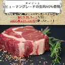81ETlNIkmeL._AC_SL1500_.webp