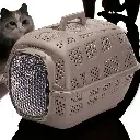 71rQmw9XpYL._AC_SX679_[1].webp