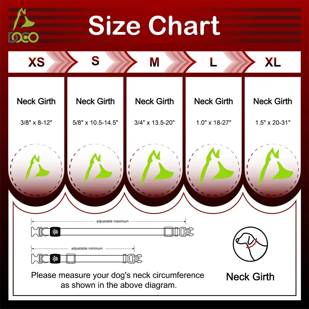 DOCO® Signature Nylon Collar-3.8 x 51-78cm(XL)-Turquoise (3).webp