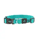 [DCSN002-11XL] DOCO® Signature Nylon Collar-3.8 x 51-78cm(XL)-Turquoise (2).webp