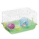 orniex-im078_1[1].webp