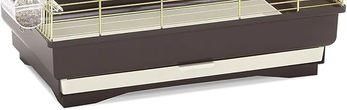 51RRynQxphL._AC_SX679_[1].webp