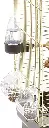 71Xp+T-WENL._AC_SY879_[1].webp