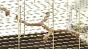 71tDt0oggXL._AC_SX679_[1].webp