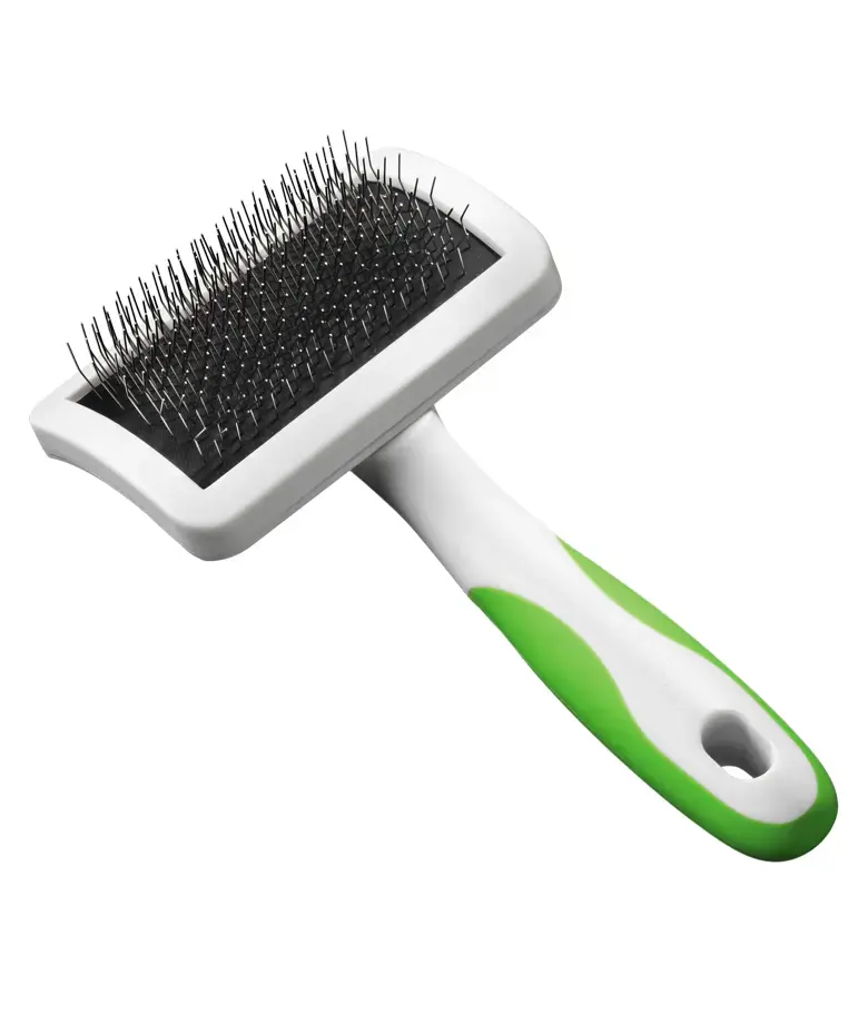 040102685651-1 (1).webp