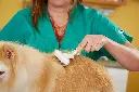91zBQAL16eL._AC_SX679_.webp