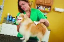 71rKG4Ku4JL._AC_SX679_.webp