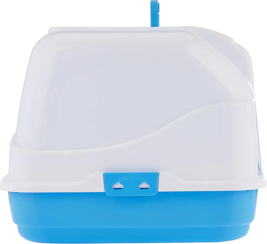 613iINVfrHL._AC_SL1500_[1].webp