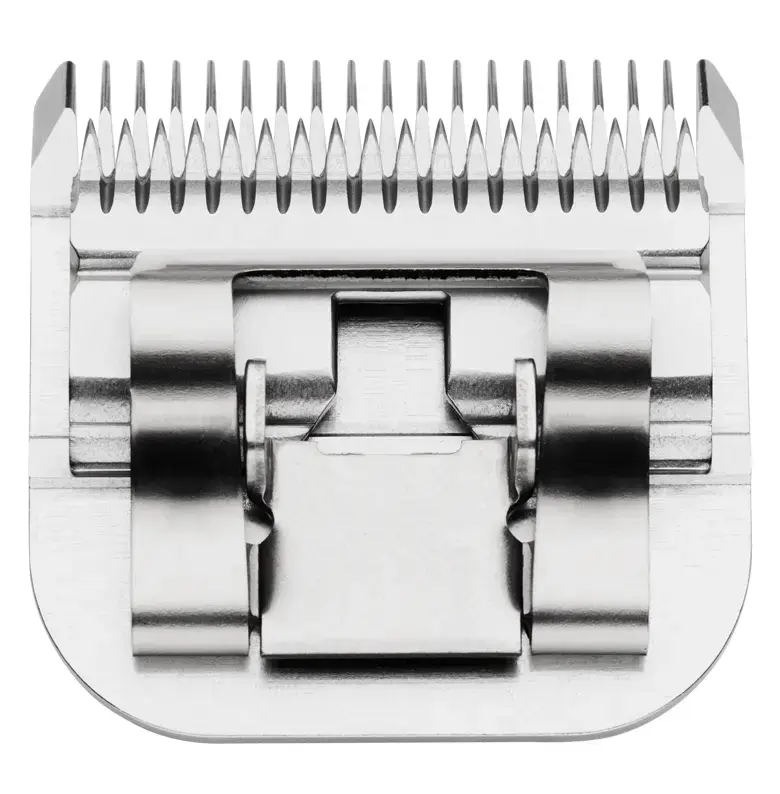 040102726002-1 (1).webp