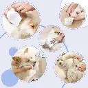 Meow Mates Pet Wipes(80+4pcs) - Unscented (1).webp