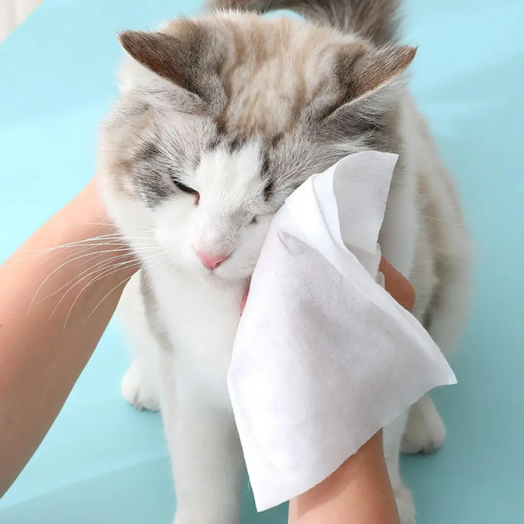 Meow Mates Pet Wipes(80+4pcs) - Unscented (2).webp