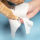 Meow Mates Pet Wipes(80+4pcs) - Unscented (3).webp