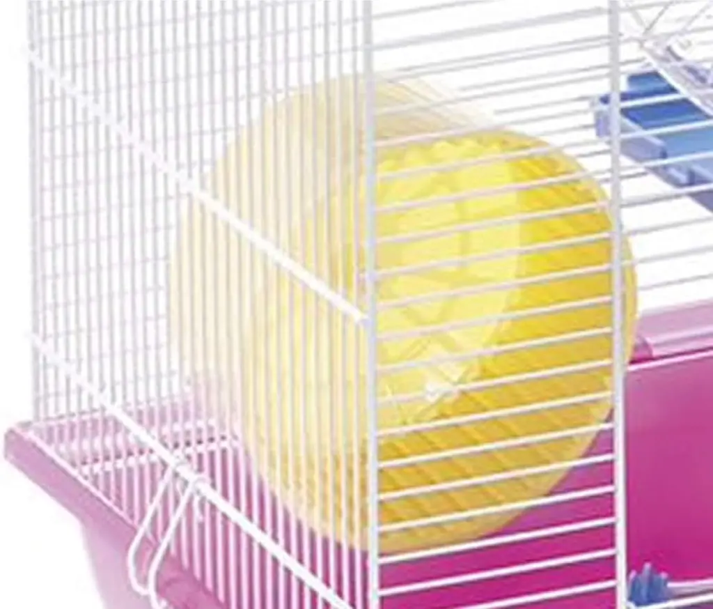 71C5Dsz9wEL._AC_SL1500_[1].webp