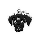 friends-black-labrador-id-tag.webp