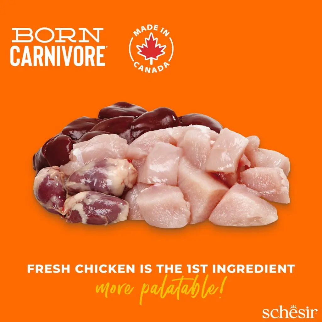 Schesir Born Carnivore Grain Free Oven Baked Dry Cat Chicken & Egg 1 (5).webp