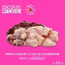 Schesir Born Carnivore Grain Free Oven Baked Dry Cat Chicken & Egg - Kitten 1 (4).webp