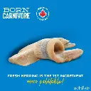 Schesir Born Carnivore Grain Free Oven Baked Dry Cat Herring & Salmon 1 (4).webp