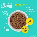 Schesir Born Carnivore Grain Free Oven Baked Dry Cat Herring & Salmon 1 (3).webp