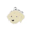 friends-golden-retriever-id-tag (1).webp