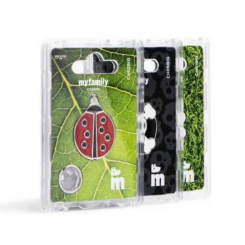 charms-big-i-m-the-king-id-tag (1).webp