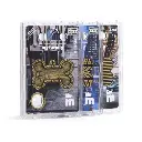 bronx-big-bone-with-studs-id-tag-in-english-brass (1).webp