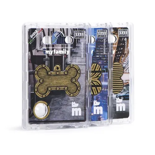 bronx-big-bone-with-studs-id-tag-in-english-brass (1).webp