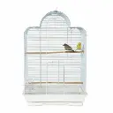 bird-w[1].webp