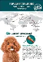 Gnawlers 3_More Digest Plus Prebiotics  For Dogs 7pcs-pack (105g).webp