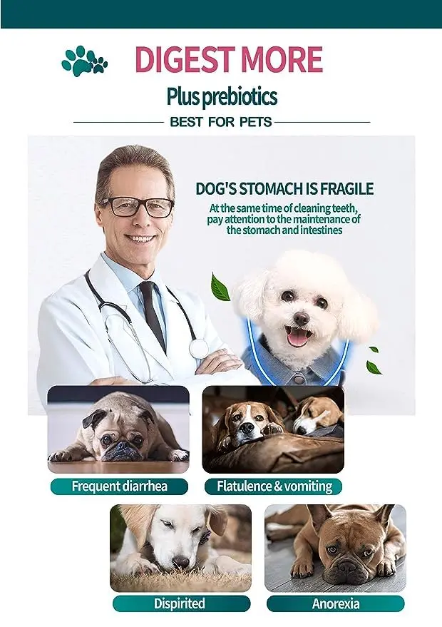 Gnawlers 3_More Digest Plus Prebiotics  For Dogs 7pcs-pack (105g) (2).webp