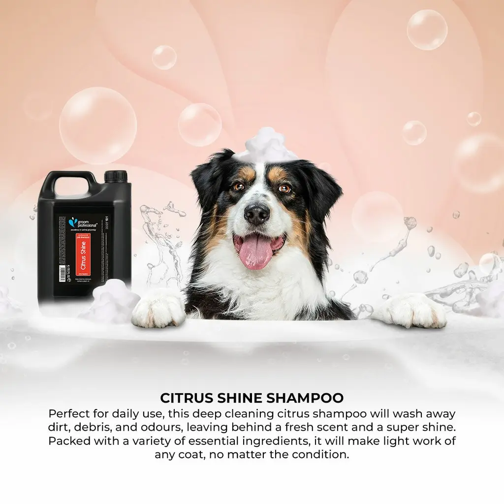 Groom Professional Citrus Shine Pet Shampoo[Volume - 4 litre, Flavor - Citrus scent] (1).webp