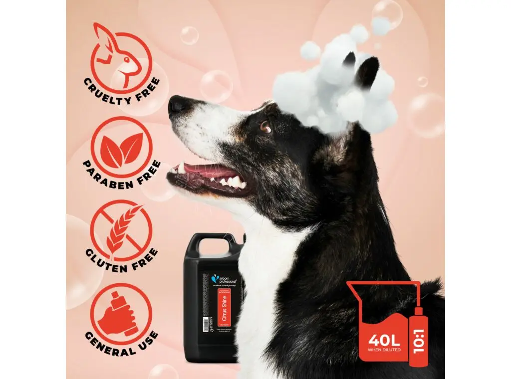 Groom Professional Citrus Shine Pet Shampoo[Volume - 4 litre, Flavor - Citrus scent] (3).webp