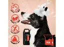 Groom Professional Citrus Shine Pet Shampoo[Volume - 4 litre, Flavor - Citrus scent] (3).webp