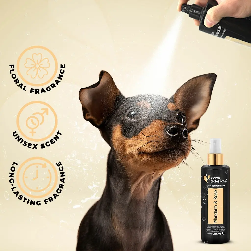 Groom Professional  Mandarin & Rose Cologne(Luxury)[Volume - 200 ml, Flavor - Mandarin & Rose] (1).webp