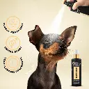 Groom Professional  Mandarin & Rose Cologne(Luxury)[Volume - 200 ml, Flavor - Mandarin & Rose] (1).webp