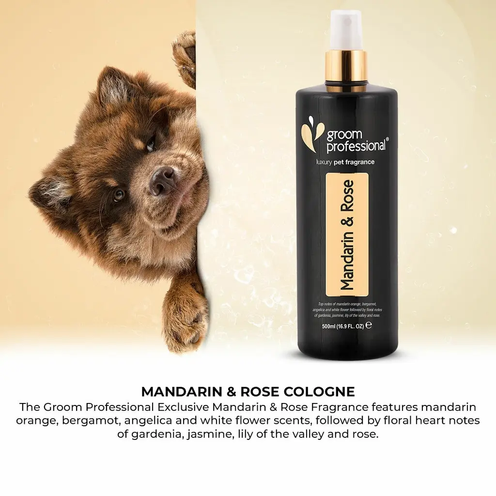 Groom Professional  Mandarin & Rose Cologne(Luxury)[Volume - 200 ml, Flavor - Mandarin & Rose] (3).webp