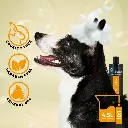 Groom Professional 2 In 1 Protein Shampoo[Volume - 4 litre] (1).webp