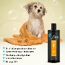 Groom Professional 2 In 1 Protein Shampoo[Volume - 4 litre] (2).webp