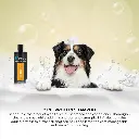 Groom Professional 2 In 1 Protein Shampoo[Volume - 4 litre] (3).webp