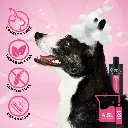 Groom Professional Almond Detangle Shampoo[Volume - 450 ml] (2).webp